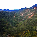 Lush Jalisco mountains